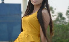 中央三套在线直播